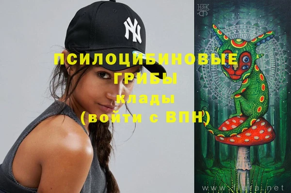 дмт Балахна