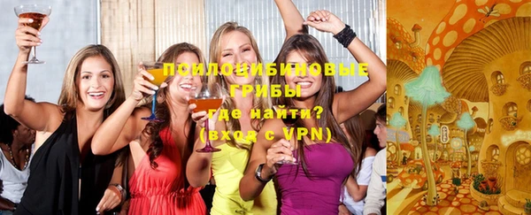 дмт Балахна