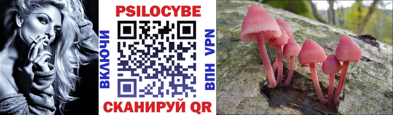 Псилоцибиновые грибы Psilocybe Закаменск
